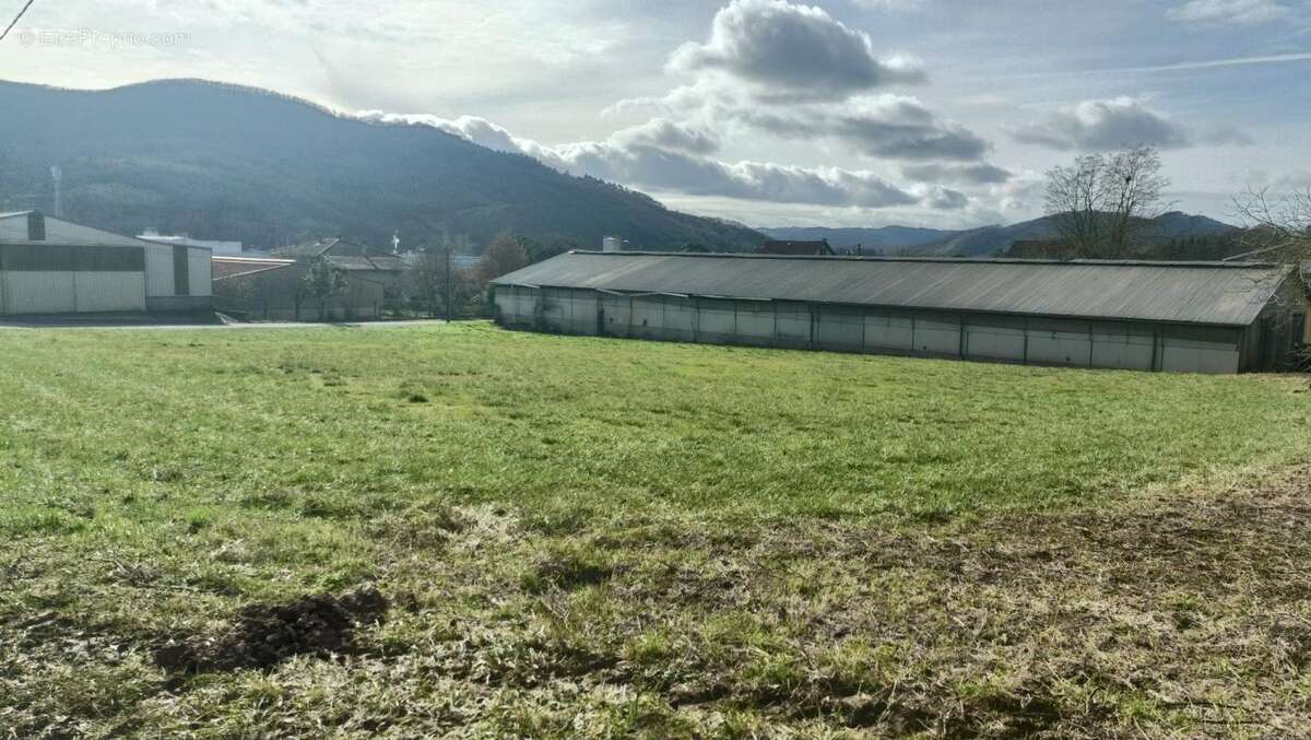Terrain à SAINT-AFFRIQUE
