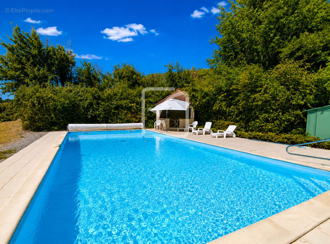 Maison T5 avec piscine, 4 chambres - étang - dépendances et plus de 2,14 hectares de terrain - Un cadre de vie - photo 8