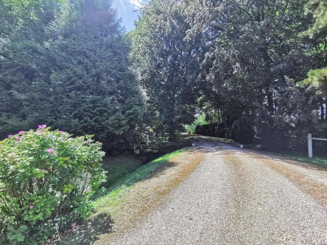 Maison 310 m² à Cambrai  - photo 7