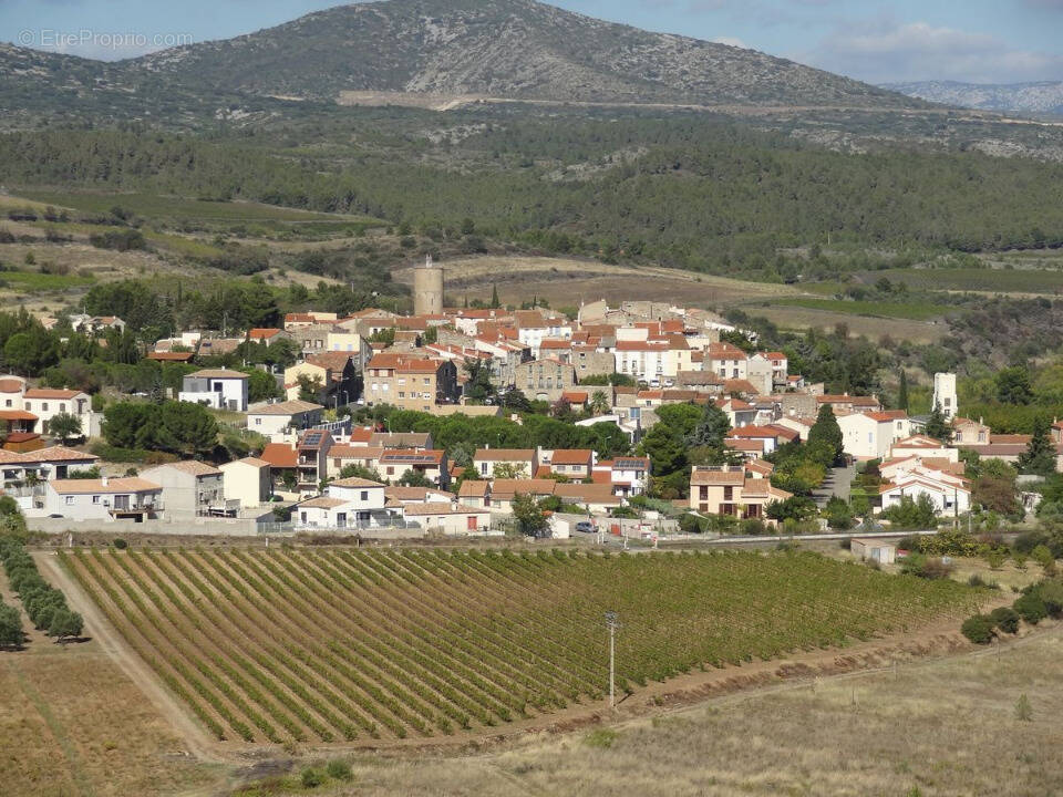 Terrain à CASES-DE-PENE