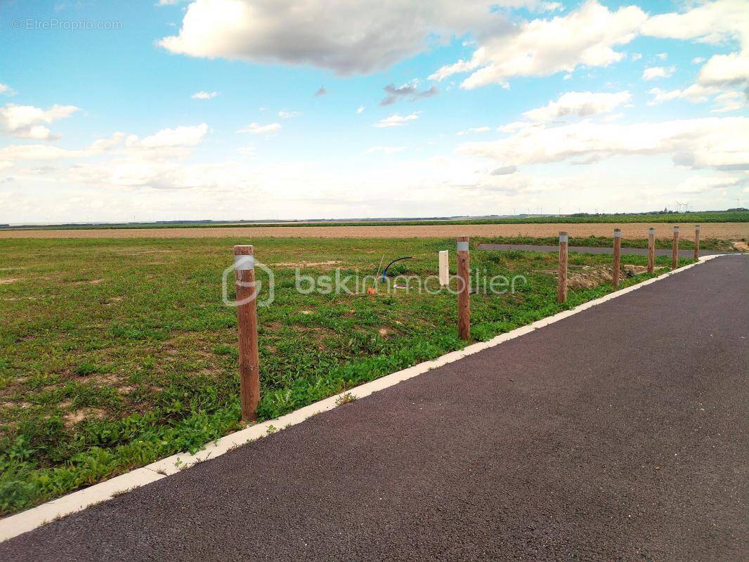 Terrain à CAUROY