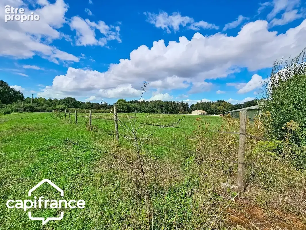 PROCHE DE THOUARS Maison de plain pied de 111m2 avec + de 2 hectares de terrain avec dépendance de 900m2 - photo 14