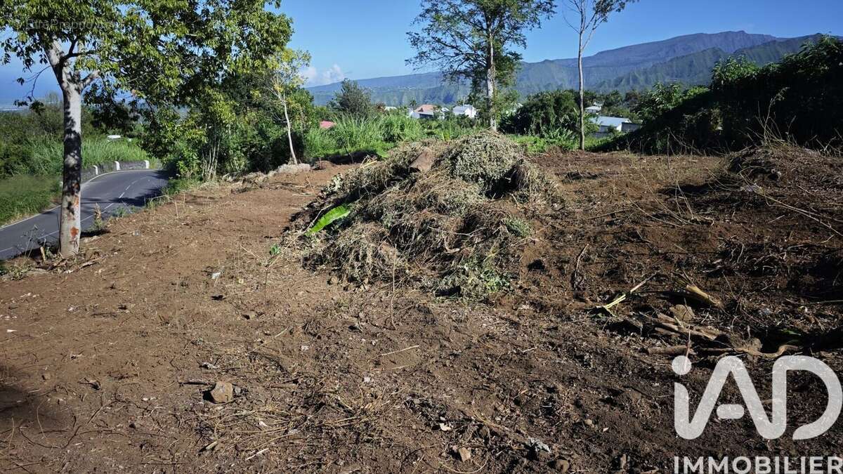 Photo 5 - Terrain à LE TAMPON