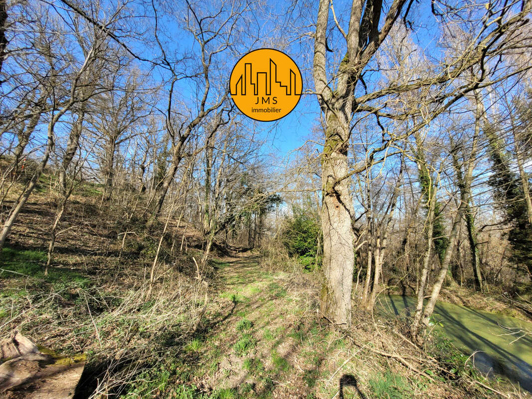 Maison à CHATEL-DE-NEUVRE