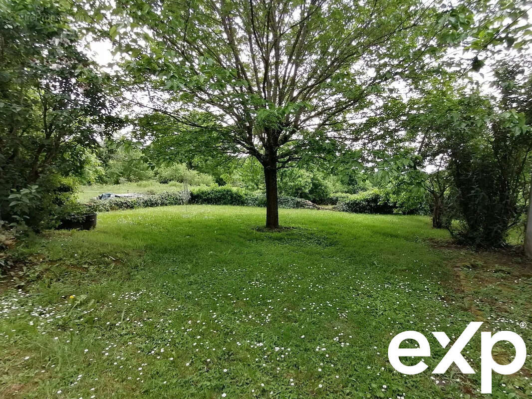 Maison à SAINT-SULPICE-LES-FEUILLES