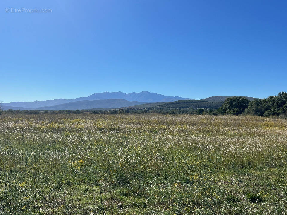 Terrain à LLUPIA