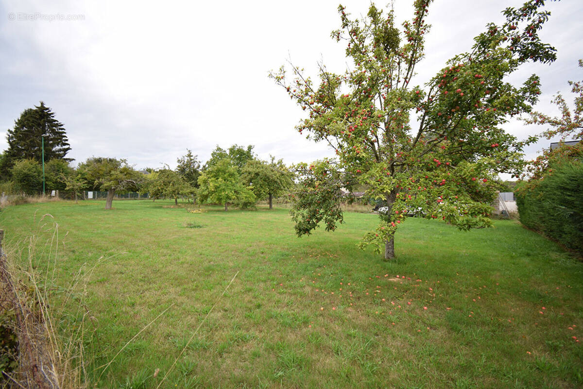 Terrain à LE BEC-THOMAS