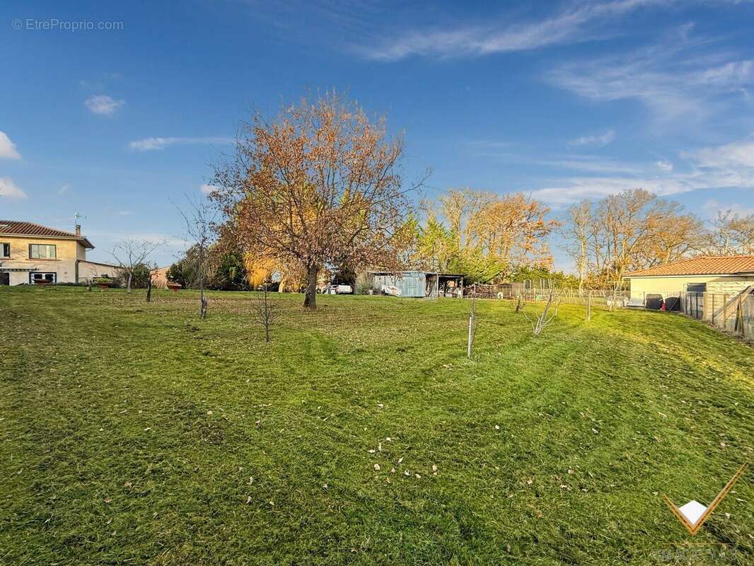 Terrain à SAINTE-FOY-DE-PEYROLIERES