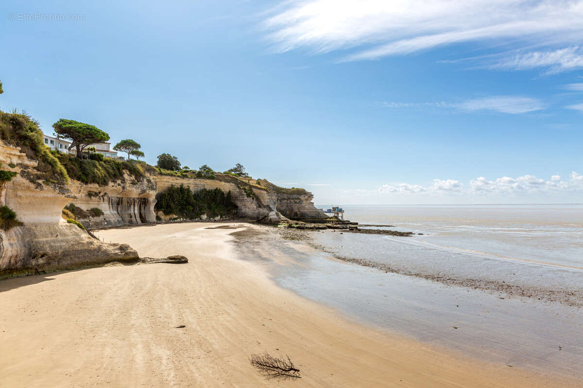 Maison à MESCHERS-SUR-GIRONDE