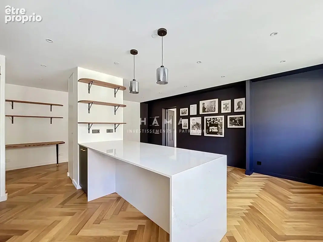 Lyon 7 jean mace - appartement type 3 80m2 refait a neuf etage eleve prestations haut de gamme - photo 4