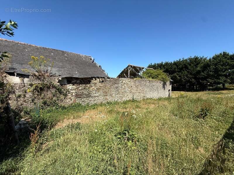 Longère en pierre – 150,76 m² – 6 pièces – 5 chambres – Terrain 6 345 m² – Dépendances – Hangar – Sous-sol complet - photo 28