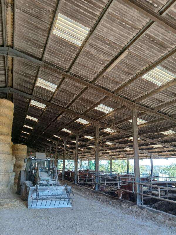 Maison à LADIGNAC-LE-LONG