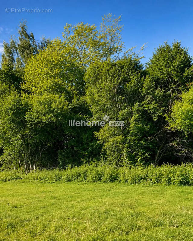 Terrain 2012 m² à Balan  - photo 2