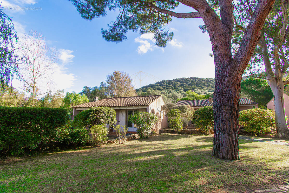Maison à PORTO-VECCHIO