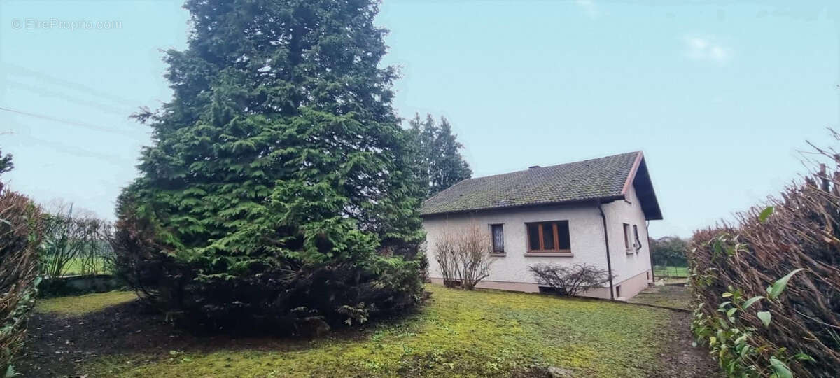 Maison à AUDINCOURT