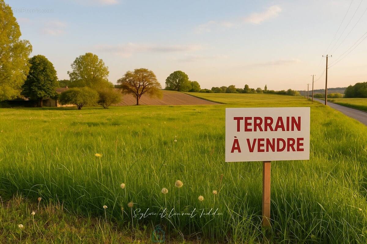 Terrain à SOUSMOULINS