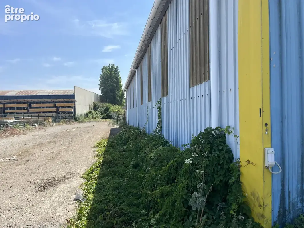 Bâtiment de 780.00 m2 sur une parcelle de 2926 m2 - photo 10