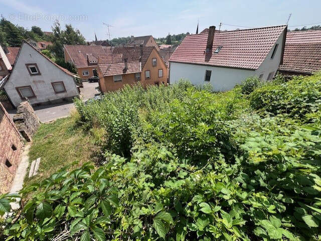 Terrain à NIEDERBRONN-LES-BAINS