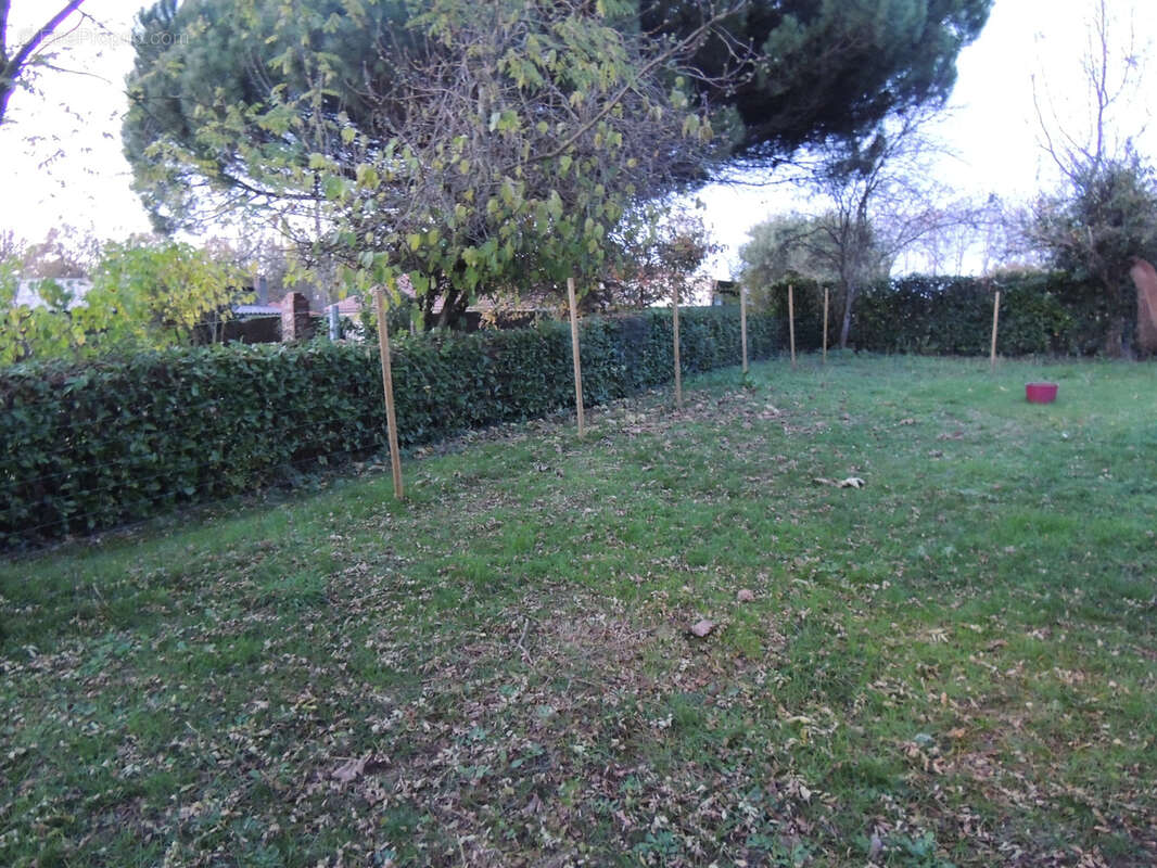 Maison à SAINT-MARTIN-DES-NOYERS