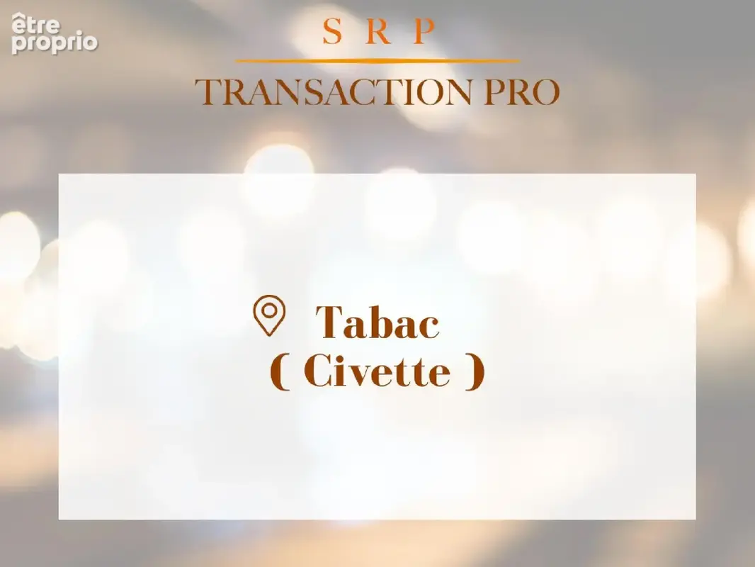 Photo Commerce à Piolenc au prix de 531 160€