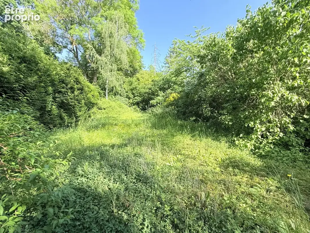 Maison familiale avec grand jardin arboré   Le Ban-Saint-Martin, secteur recherché - photo 18