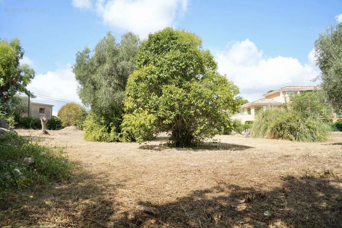 Roquefort Les Pins - Terrain plat constructible de 2513 m2 - photo 7