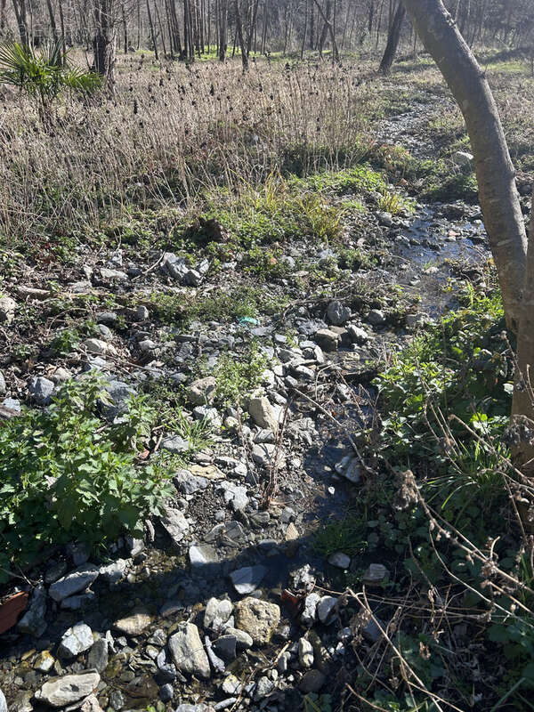 Maison à PRATS-DE-MOLLO-LA-PRESTE