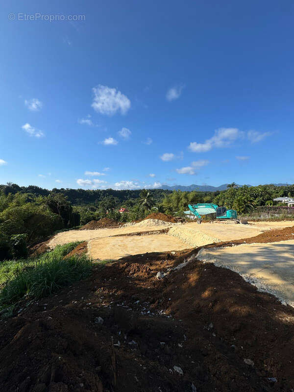 Terrain à PETIT-BOURG