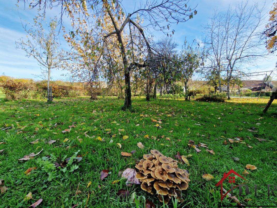 Maison à TERRE-NATALE