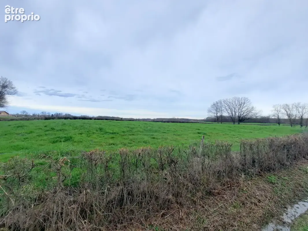 Terrain 2493m² à montrevel-en-bresse - photo 2