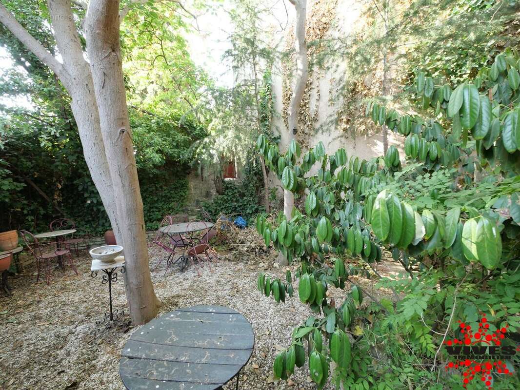 Remise agricole avec jardin au bord du canal du midi - photo 10