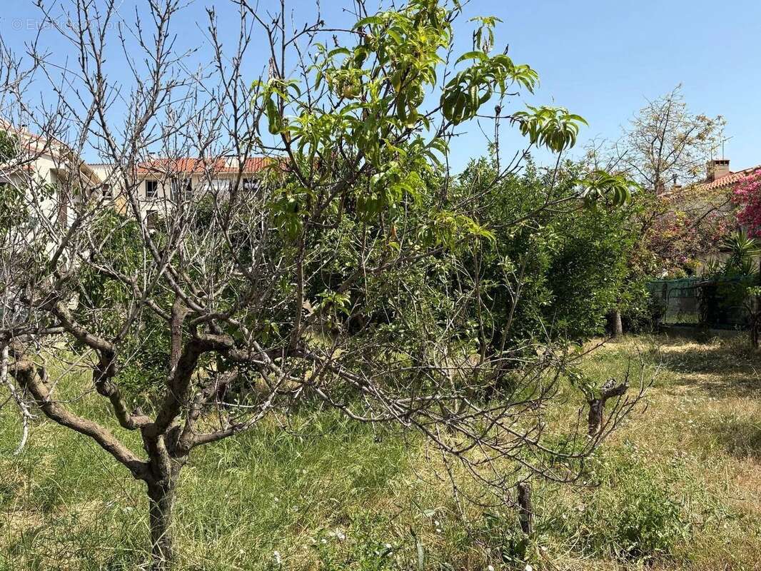 Vente Terrain Perpignan(66000) 167 000ï¿œ - photo 9