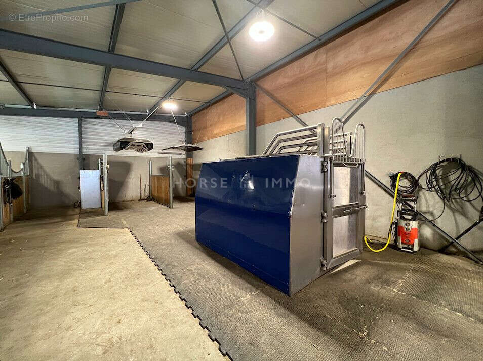 Maison 859 m² à Annemasse  - photo 5