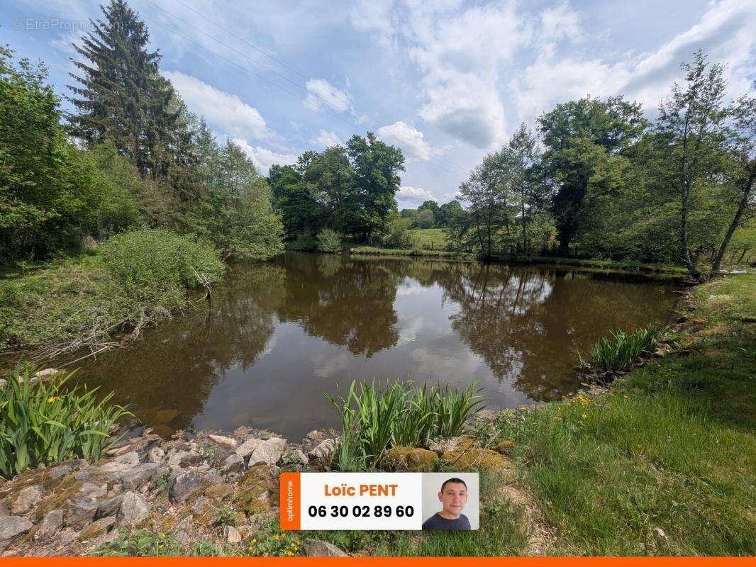 Etang à vendre sur un terrain de 26 033,00 m² LE MAYET DE MONTAGNE (03250) - photo 5