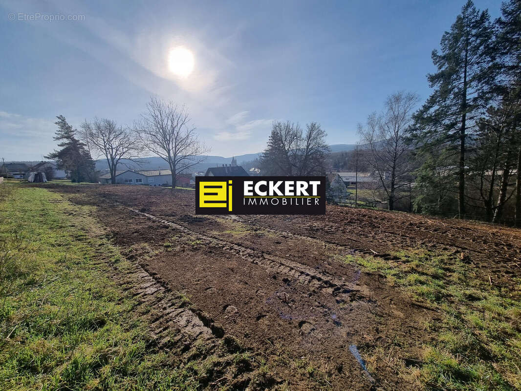 Terrain à OBERHASLACH