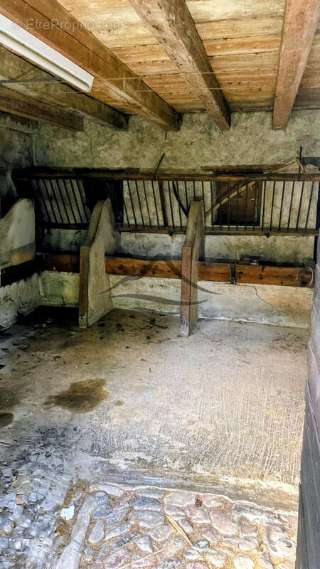 Maison à NEYDENS