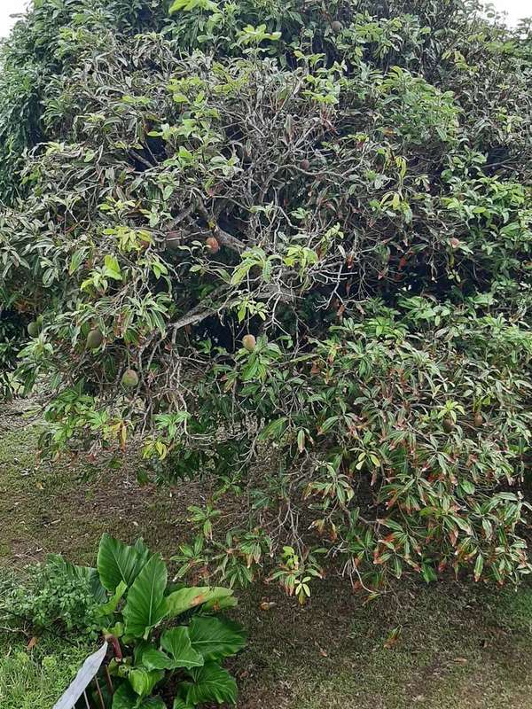 Maison à LE LORRAIN