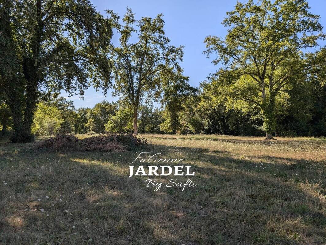 Photo 1 - Terrain à CARSAC-AILLAC