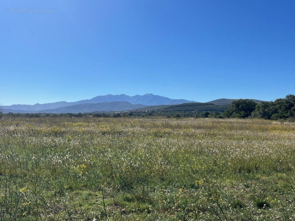 Terrain à LLUPIA