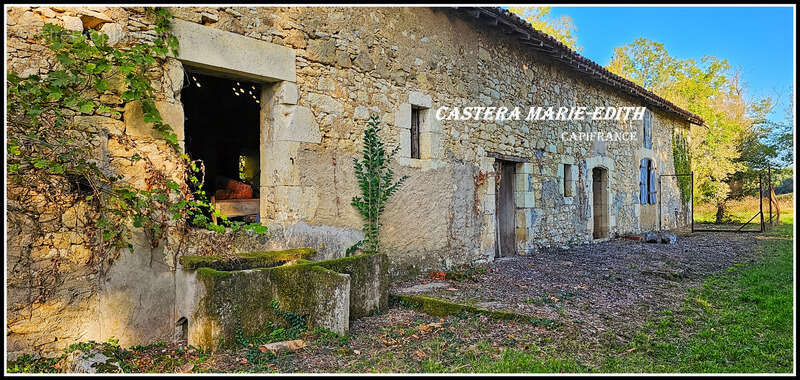 Propriété - Château Gascon Historique  - Terres agricoles, proche de AUCH (32) - photo 29