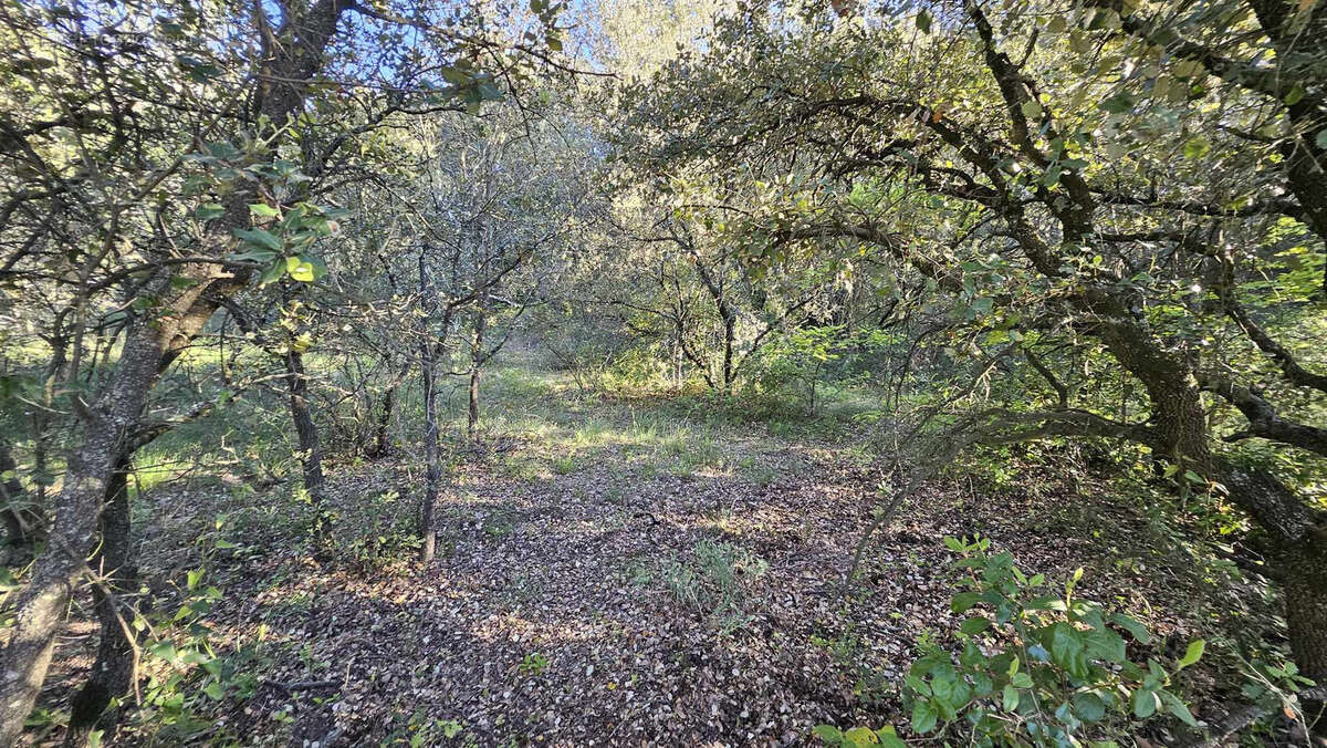 Terrain à GALARGUES