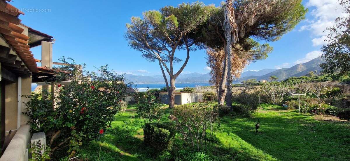 Photo 5 - Maison à CALCATOGGIO