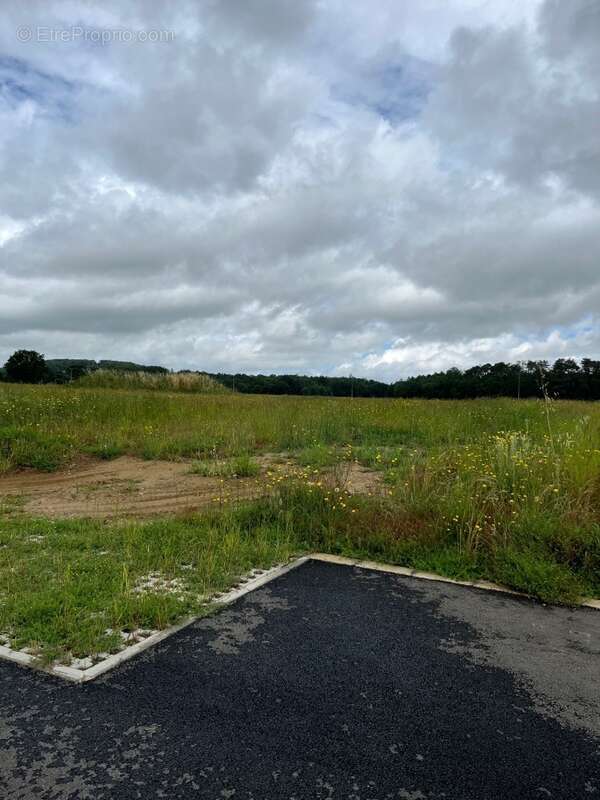 Terrain à BRIATEXTE