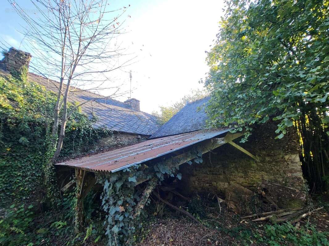 Photo 4 - Maison à PLEUGRIFFET