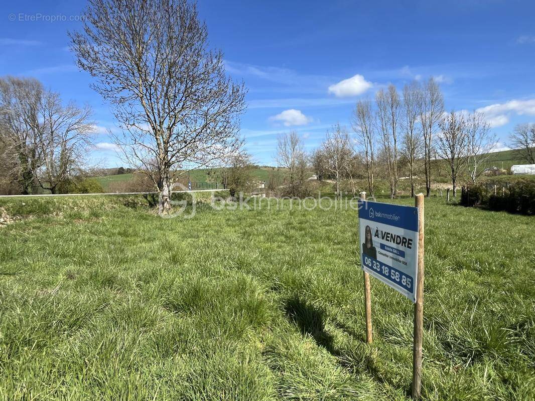 Terrain à ERIZE-SAINT-DIZIER