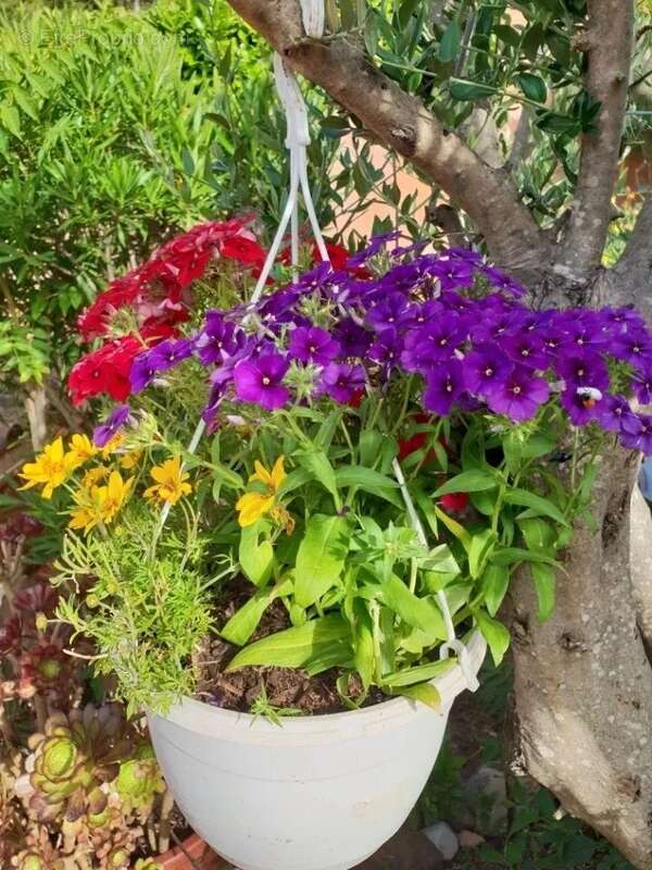 Maison à SANARY-SUR-MER