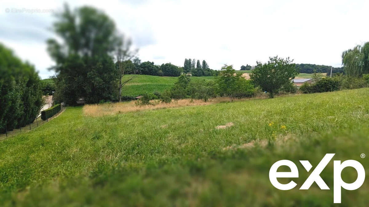 Un paysage verdoyant avec des arbres et des champs sous un ciel nuageux. - Terrain à LA SAUVETAT-DE-SAVERES