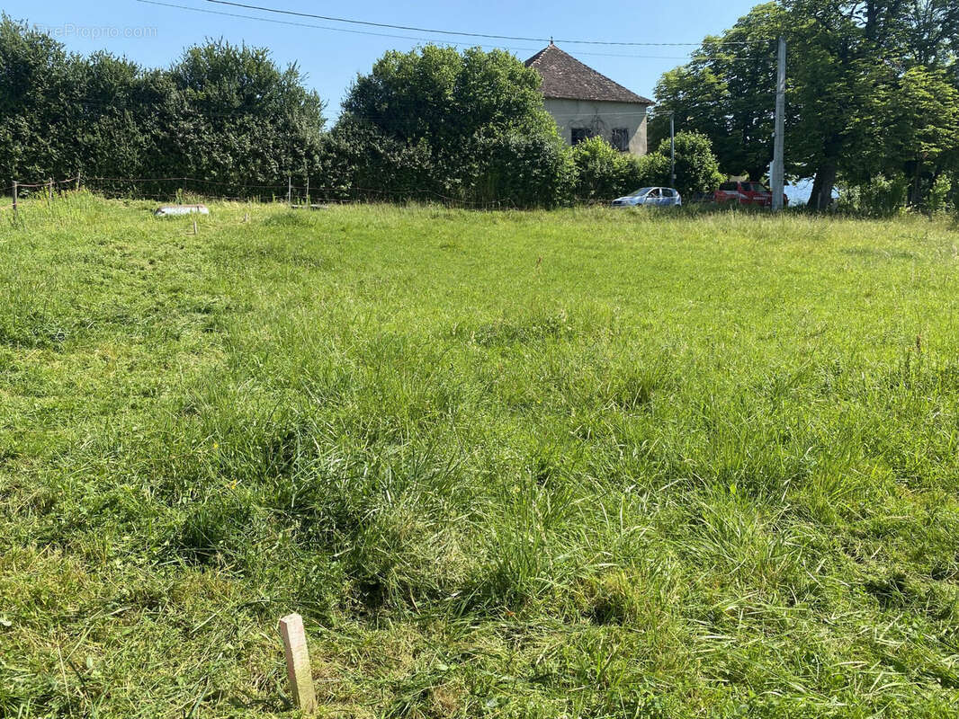 Terrain à BRANGUES
