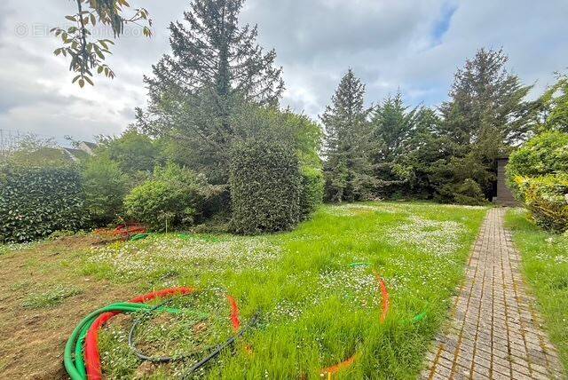 Terrain à SAINT-LEU-LA-FORET