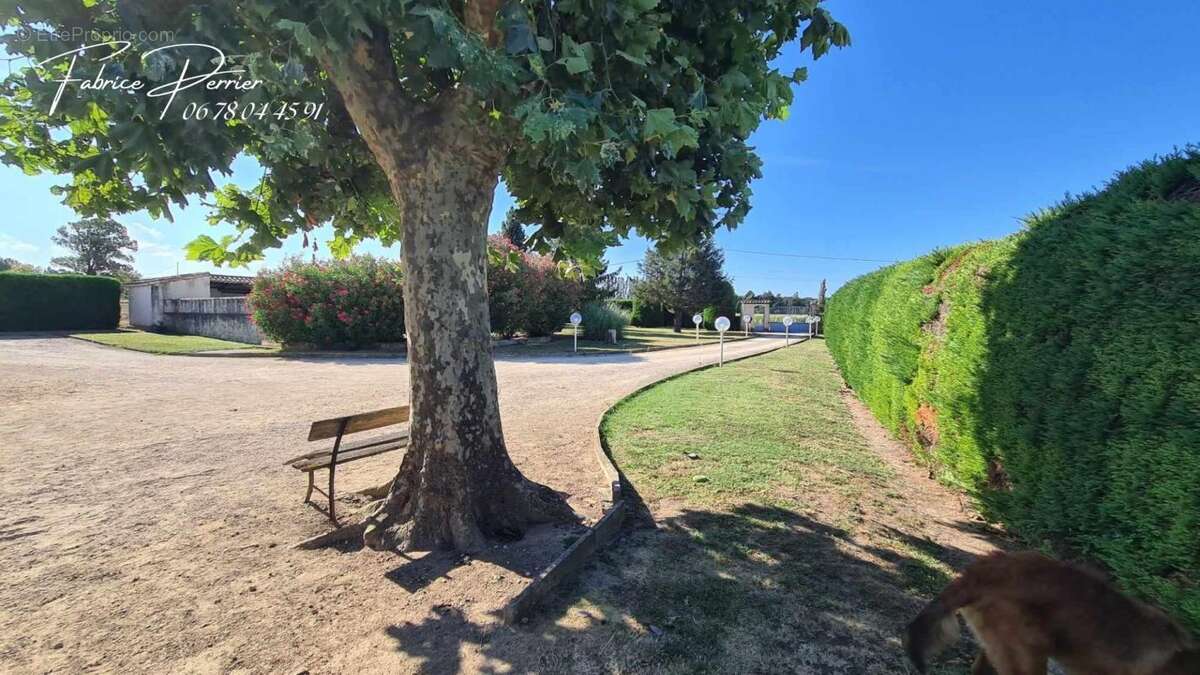 Maison 259 m2 , Dépendance 74 m²,  Abri 70m², Piscine, Terrain 3000m² - photo 15